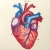 Heart Anatomy Journal by Fabulous Cat Papers