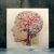 Veins and Arteries of the Head. Veins and Arteries of the Head by Fabulous Cat Papers