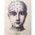 Phrenology Journal. Close Up Phrenology Journal by Fabulous Cat Papers
