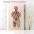 Circulatory System of Human Body. Personalization Example Circulatory System of the Human Body by Fabulous Cat Papers