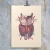 Thyroid Gland Anatomy by Fabulous Cat Papers