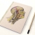 Nervous System of the Head Nervous System of the Head by Fabulous Cat Papers