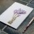 Crocus. Botanical Journal by Fabulous Cat Papers