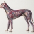 Dog Anatomy Journal by Fabulous Cat Papers