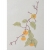Persimmons Branch. Botanical A6 Notebook by Fabulous Cat Papers