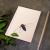 Cicada. A6 Notebook by Fabulous Cat Papers