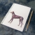 Dog Anatomy Journal by Fabulous Cat Papers