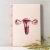 Uterus and Ovaries Journal by Fabulous Cat Papers