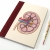 Kidney Anatomy Book by Fabulous Cat Papers