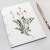 Sainfoin. Botanical Journal by Fabulous Cat Papers
