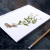 Chamomiles. Botanical Journal Chamomiles. Botanical Journal by Fabulous Cat Papers