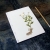 Chamomiles. Botanical Journal by Fabulous Cat Papers