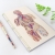 Circulatory System of the Human Body by Fabulous Cat Papers