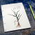 Quaking Grass. Botanical Journal by Fabulous Cat Papers