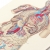 Circulatory System of the Human Body by Fabulous Cat Papers