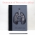 Lungs Anatomy Book by Fabulous Cat Papers