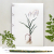 Quaking Grass. Botanical Journal by Fabulous Cat Papers