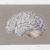 Anatomical Brain. Paper Embroidery by Fabulous Cat Papers