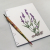 Lavender. Botanical Journal by Fabulous Cat Papers