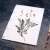 Sainfoin. Botanical Journal by Fabulous Cat Papers