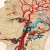 Veins and Arteries of the Head. Detail Veins and Arteries of the Head by Fabulous Cat Papers