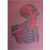 Torso & Head Anatomy. Paper Embroidery