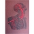 Torso & Head Anatomy. Paper Embroidery Torso & Head Anatomy. Paper Embroidery