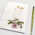 Dandelion Plant. Botanical Journal by Fabulous Cat Papers