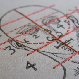 Proportions and Measures of the Head by Fabulous Cat Papers