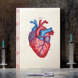 Heart Anatomy Journal by Fabulous Cat Papers