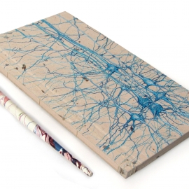 Neurons Journal. Studie No3 by Fabulous Cat Papers