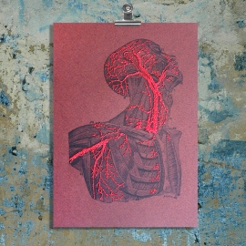 Torso & Head Anatomy. Paper Embroidery by Fabulous Cat Papers