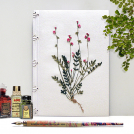 Sainfoin. Botanical Journal by Fabulous Cat Papers