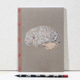 Brain Anatomy Journal by Fabulous Cat Papers