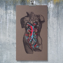 Dissection of a Male Torso. Paper Embroidery by Fabulous Cat Papers