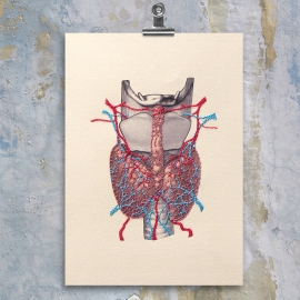 Thyroid Gland Anatomy. Paper Embroidery Thyroid Gland Anatomy by Fabulous Cat Papers