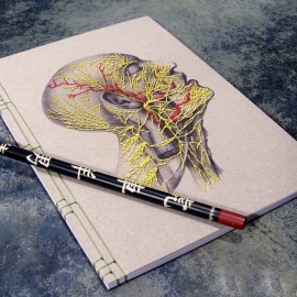 Nervous System of the Head Nervous System of the Head by Fabulous Cat Papers