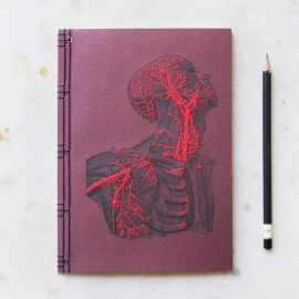 Anatomy Journal. Head and Torso by Fabulous Cat Papers