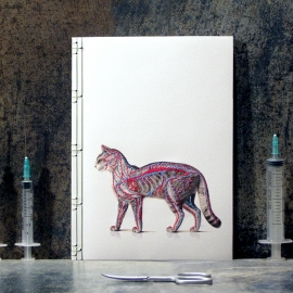 Cat Anatomy Journal by Fabulous Cat Papers