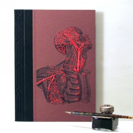 Anatomy Book. Torso and Head by Fabulous Cat Papers