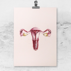 Uterus and Ovaries. Anatomy Art. Paper Embroidery by Fabulous Cat Papers