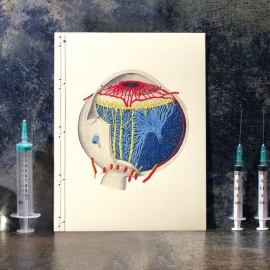 Anatomical Eye Journal by Fabulous Cat Papers