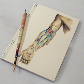 Arm Anatomy Journal by Fabulous Cat Papers