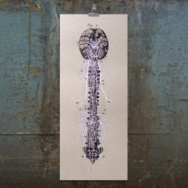 Nerves of the Spine. Paper Embroidery Nerves of the Spine by Fabulous Cat Papers