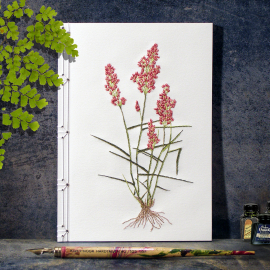 Natal Grass. Botanical Journal by Fabulous Cat Papers