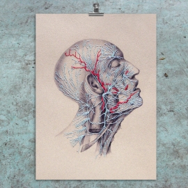 Nerves. Anatomical Paper Embroidery by Fabulous Cat Papers