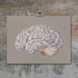Anatomical Brain. Paper Embroidery Anatomical Brain. Paper Embroidery by Fabulous Cat Papers