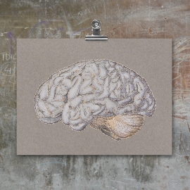 Anatomical Brain. Paper Embroidery by Fabulous Cat Papers