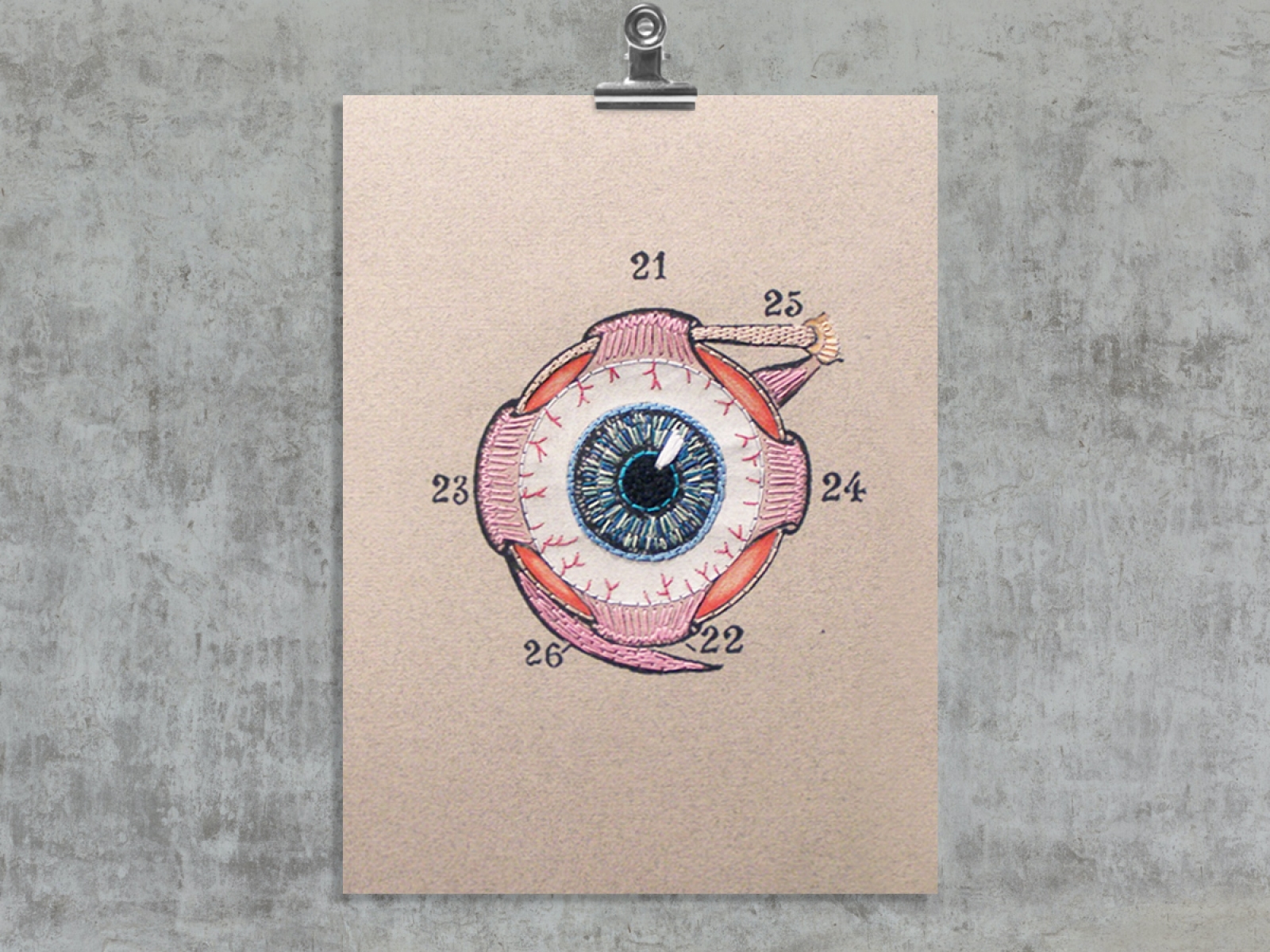 Eye Anatomy. Paper Embroidery by Fabulous Cat Papers