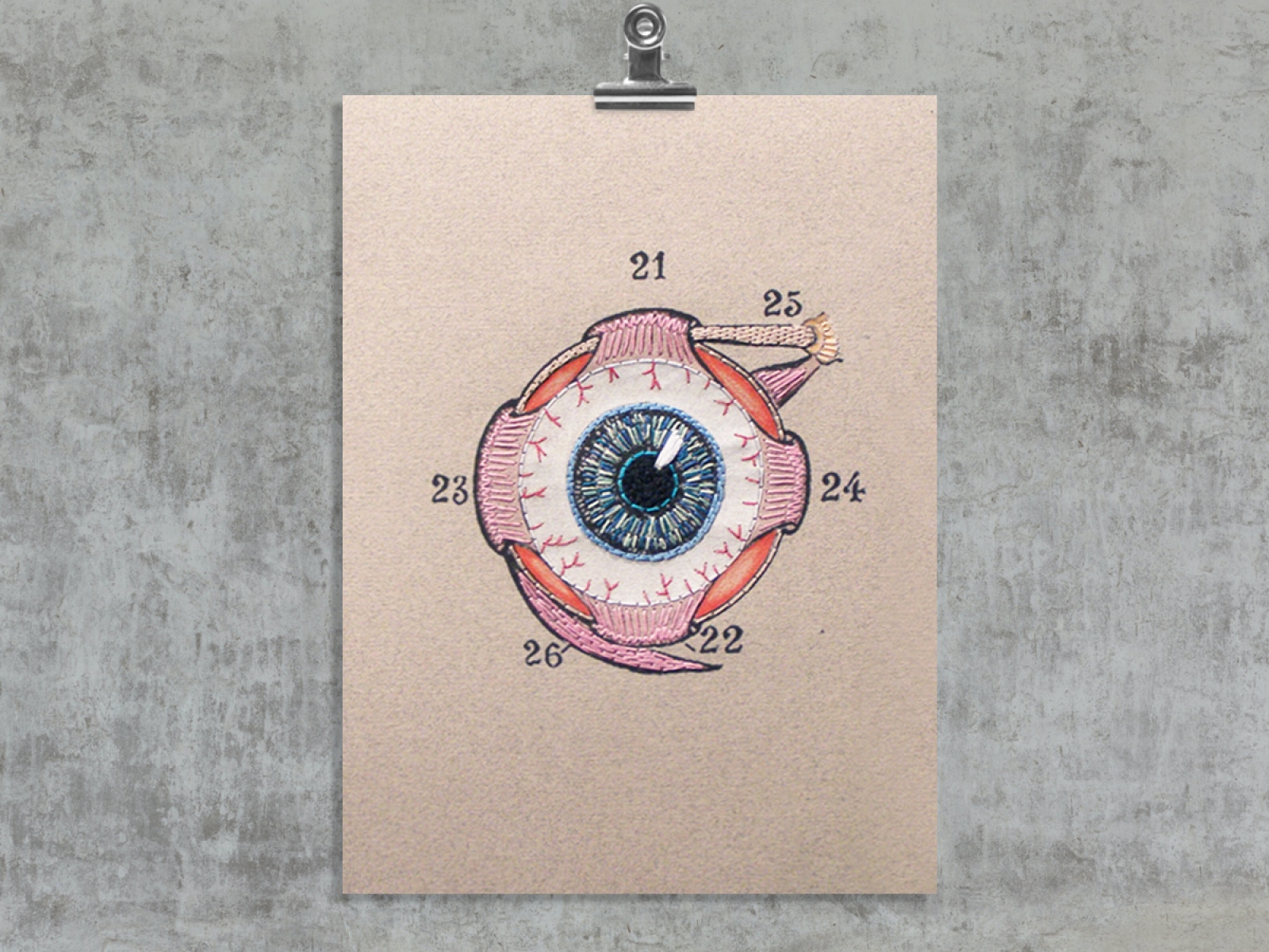 Eye Anatomy. Paper Embroidery